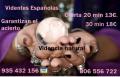 Se ofrece Otros Servicios: Videntes Tarotistas, oferta 20 min 12€. Certeras